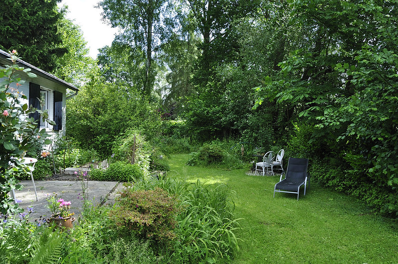Jardin Naturel, Sauvage & Punk : Quand la Nature Reprend le Pouvoir